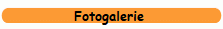 Fotogalerie