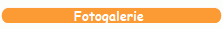 Fotogalerie