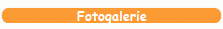 Fotogalerie